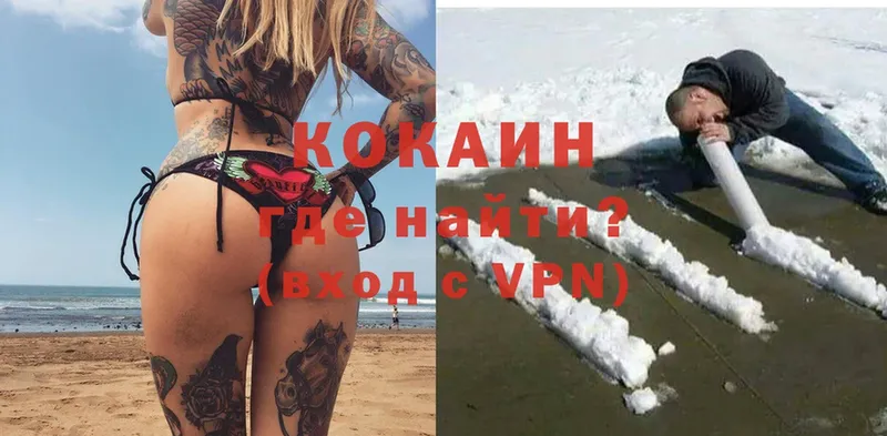 как найти   Луга  КОКАИН VHQ 