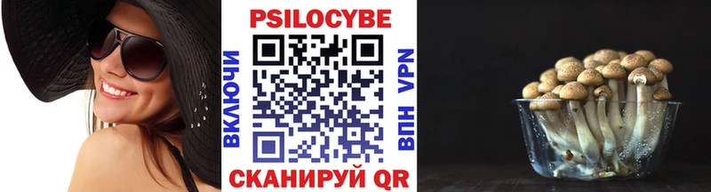 Псилоцибиновые грибы Psilocybine cubensis  Луга 