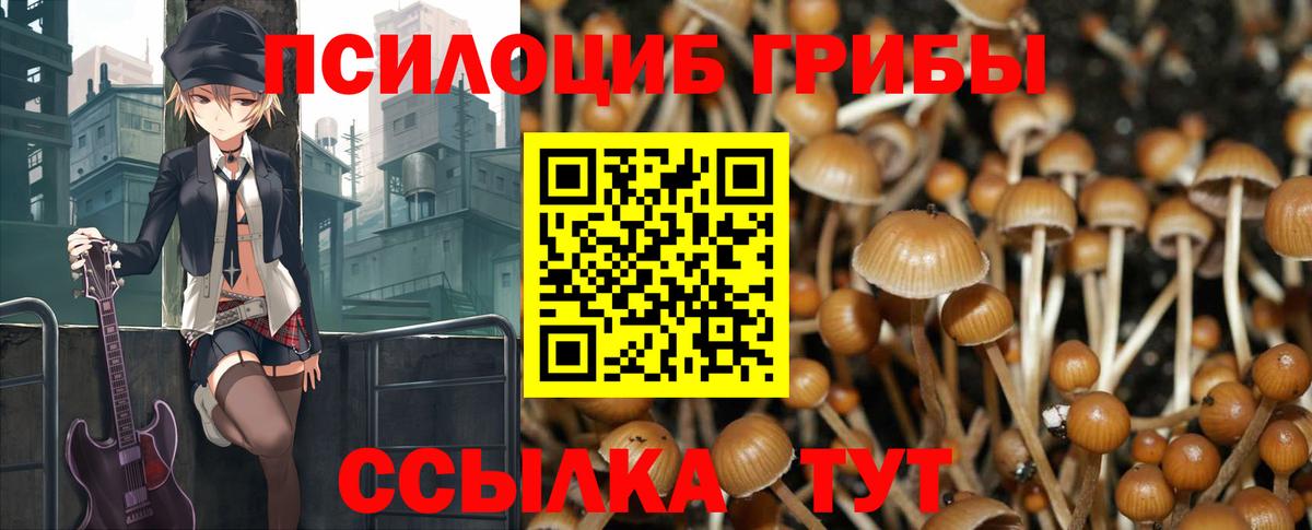 Галлюциногенные грибы мицелий  Луга 